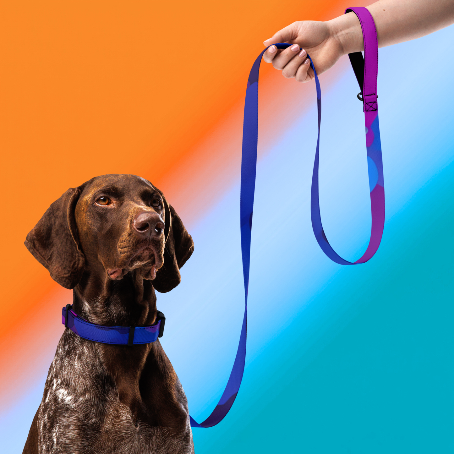 Stylin' Neon Pet Collar & Leash Set